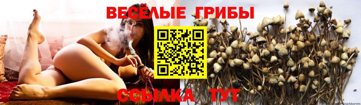 Галлюциногенные грибы MAGIC MUSHROOMS Михайловка