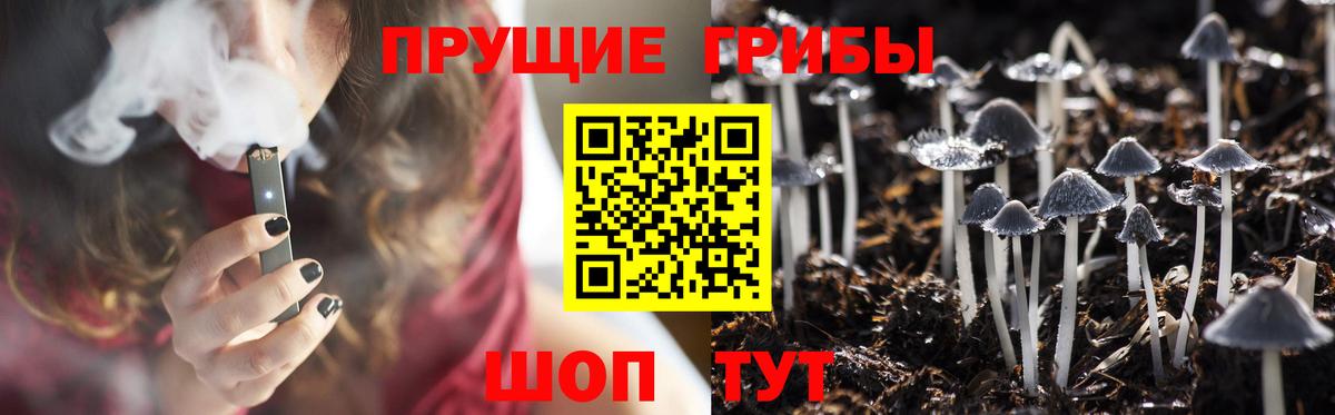 Михайловка  Галлюциногенные грибы MAGIC MUSHROOMS  Псилоцибиновые грибы Cubensis  купить   Вход с VPN 