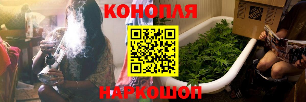 Бошки марихуана гибрид Михайловка